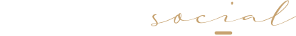 dashsocial logo